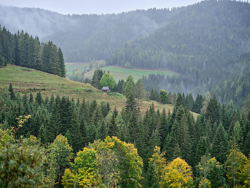 Die Wälder vom Metnitztal